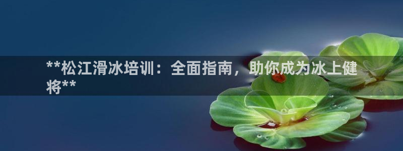 极悦娱乐的创始人背景故事介绍：**松江滑冰培训：全面