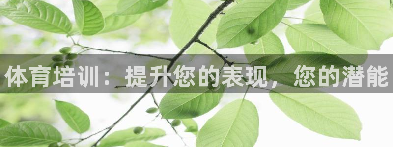 极悦平台有风险吗知乎：体育培训：提升您的表现，您的潜