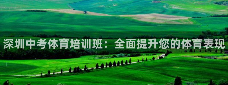 极悦娱乐下载安装手机版：深圳中考体育培训班：全面提升