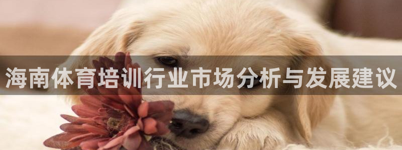 极悦娱乐旗下艺人名单：海南体育培训行业市场分析与发展