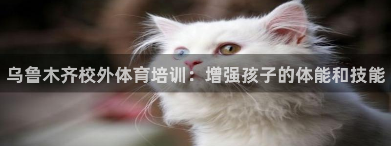 极悦平台官方网站入口下载：乌鲁木齐校外体育培训：增强