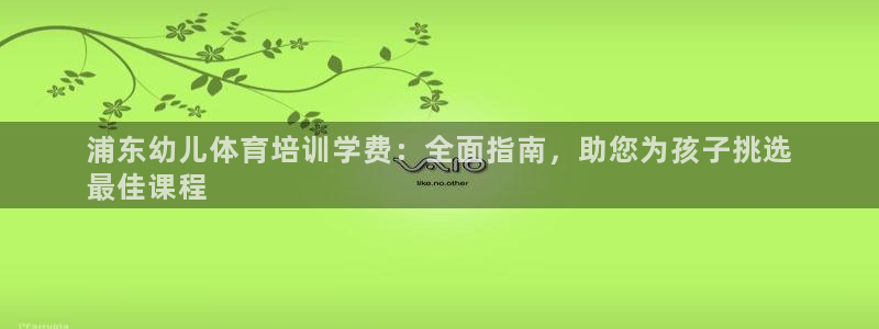 极悦平台代理怎么赚钱：浦东幼儿体育培训学费：全面指南