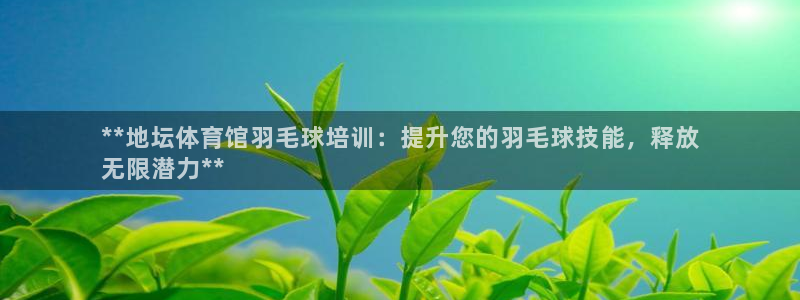 极悦平台使用注意事项有哪些：**地坛体育馆羽毛球培训
