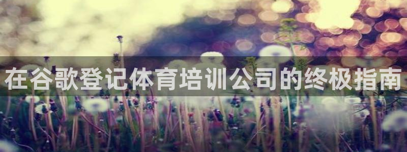 加盟极悦教育要多少钱：在谷歌登记体育培训公司的终极指