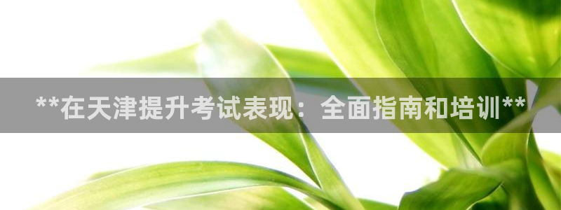 极悦平台代理怎么样可靠吗：**在天津提升考试表现：全