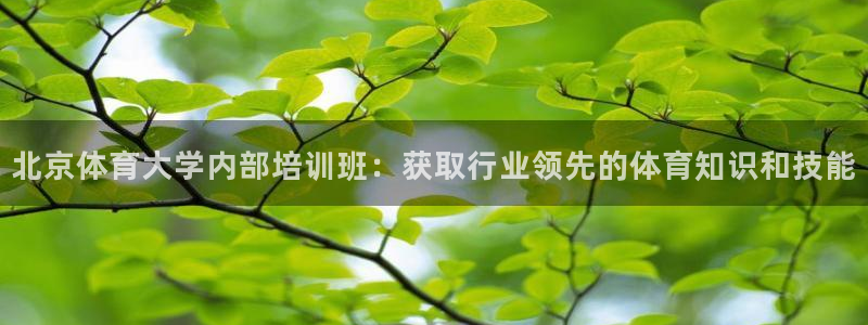 极悦官网下载最新版本更新内容视频：北京体育大学内部培