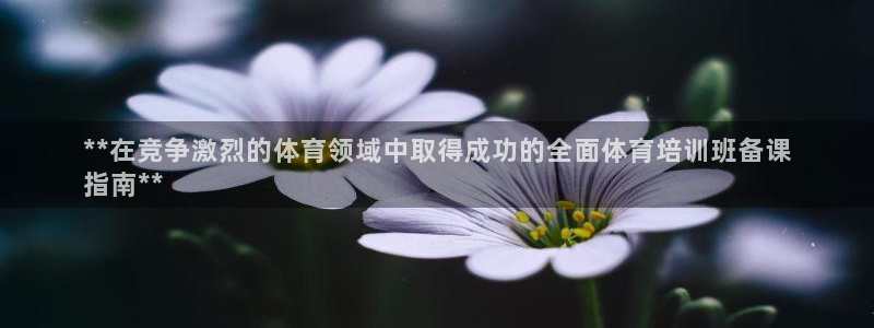 极悦官网注册最新版本更新内容是什么：**在竞争激烈的