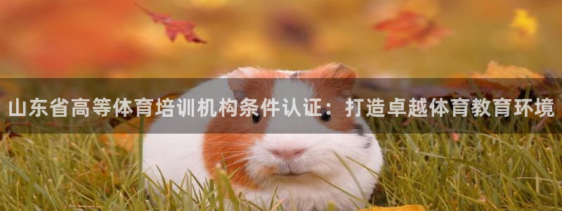 极悦官方网站入口网址是多少：山东省高等体育培训机构条