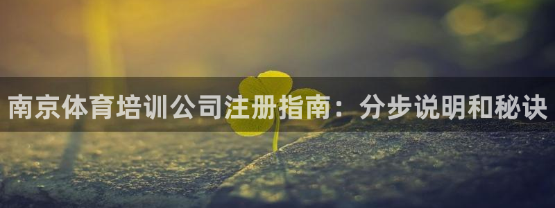 极悦娱乐代理多少钱一个：南京体育培训公司注册指南：分