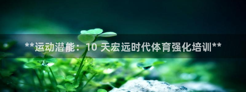 极悦平台官网登录入口手机版：**运动潜能：10 天宏