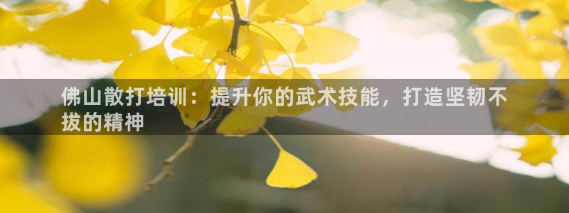 极悦平台是什么公司：佛山散打培训：提升你的武术技能，