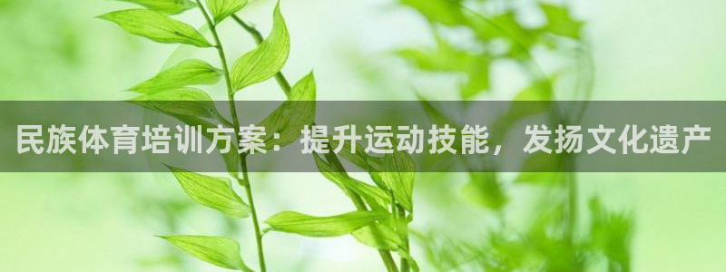 极悦官方网站入口网址是什么：民族体育培训方案：提升运