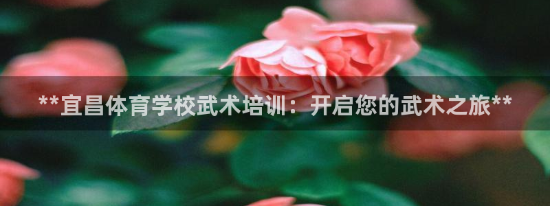 极悦娱乐会被骗吗是真的吗：**宜昌体育学校武术培训：
