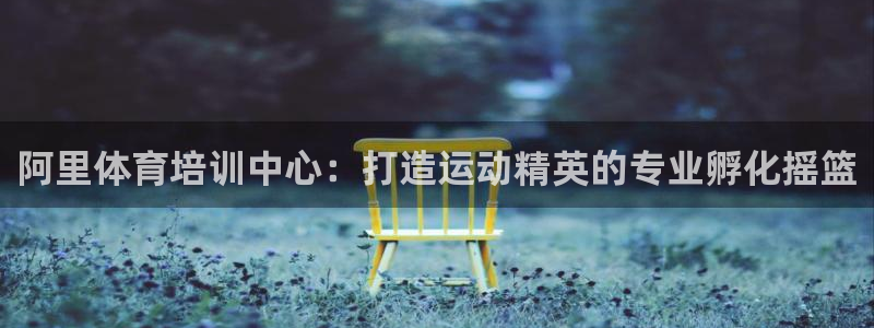 极悦平台是干嘛的：阿里体育培训中心：打造运动精英的专业孵化摇