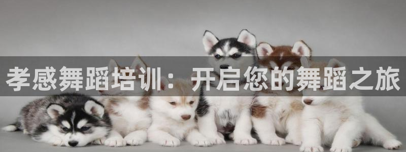 极悦娱乐下载官网：孝感舞蹈培训：开启您的舞蹈之旅