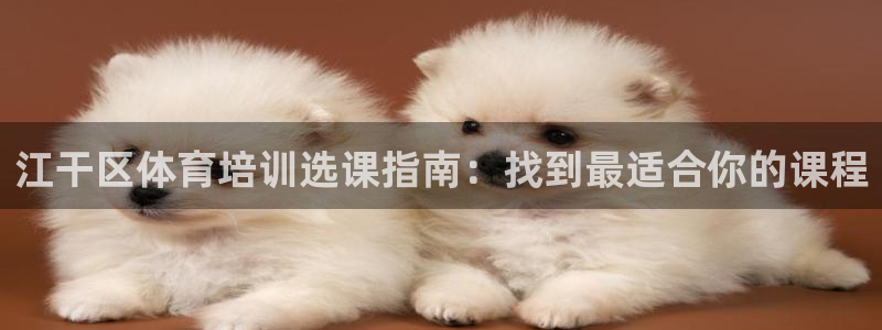 极悦平台网址AGHF8点C0M：江干区体育培训选课指