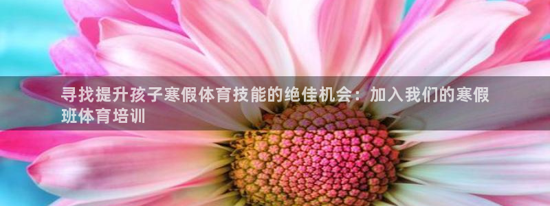 极悦娱乐代理多少钱一年：寻找提升孩子寒假体育技能的绝