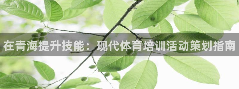极悦平台德711.112的更新内容：在青海提升技能：