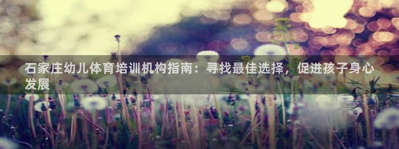 极悦平台注册登录入口网址：石家庄幼儿体育培训机构指南