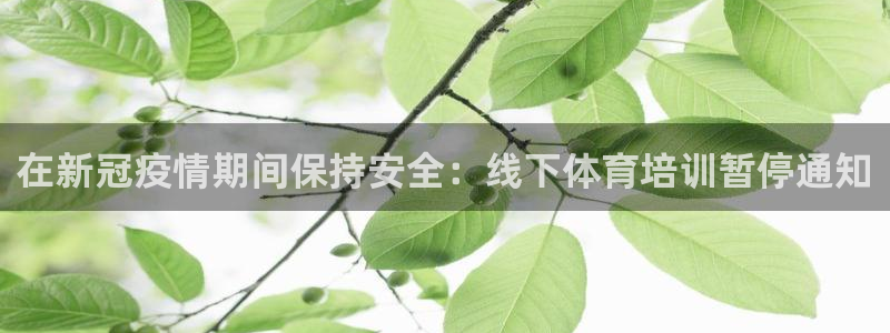 极悦平台代理怎么样啊：在新冠疫情期间保持安全：线下体