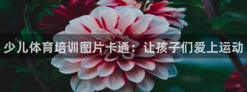 极悦娱乐的创始人背景故事介绍：少儿体育培训图片卡通：