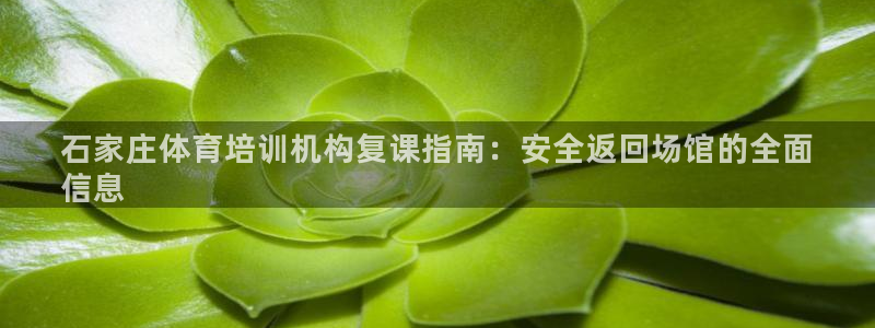 极悦平台注册用户名格式是什么：石家庄体育培训机构复课
