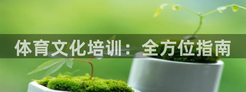 极悦平台注册用户名验证不了：体育文化培训：全方位指南