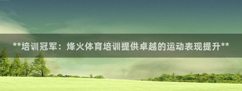 极悦平台客服团队名称：**培训冠军：烽火体育培训提供