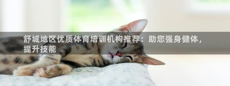 极悦娱乐创始人背景故事是什么：舒城地区优质体育培训机构推荐：
