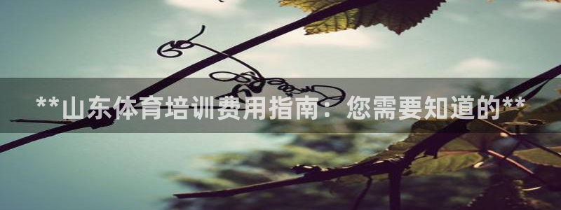 极悦娱乐会被骗吗是真的吗：**山东体育培训费用指南：