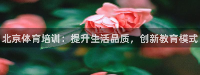 极悦平台注册和登录页面不一样