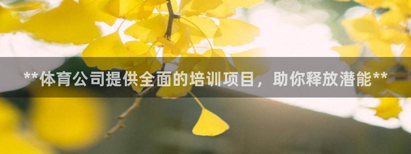 极悦娱乐登录拒绝访问怎么办理：**体育公司提供全面的培训项目