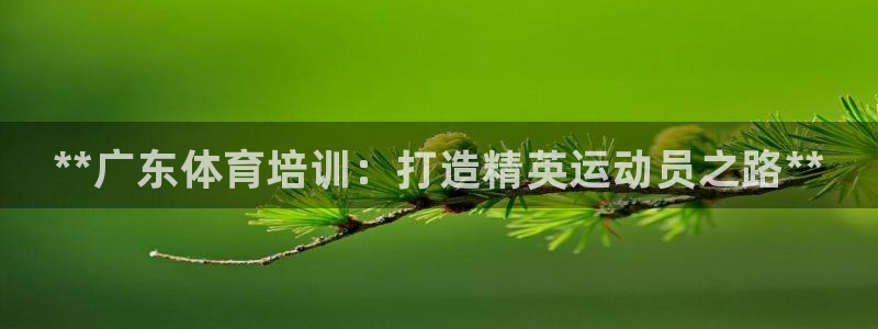 极悦平台官方网站登录网址：**广东体育培训：打造精英