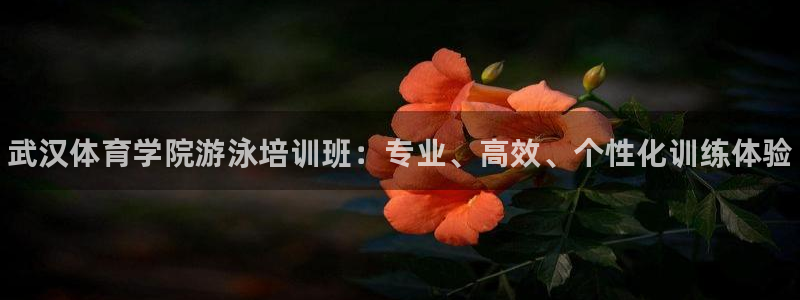 极悦平台官方网站登录入口