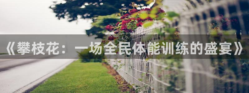 极悦生活家是什么平台的产品：《攀枝花：一场全民体能训练的盛宴