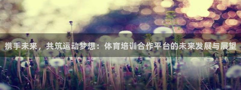 极悦平台股东名单：携手未来，共筑运动梦想：体育培训合