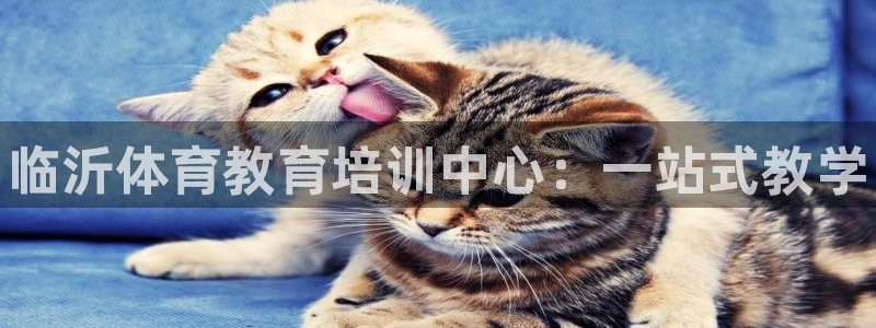 极悦娱乐的背景和历史背景介绍：临沂体育教育培训中心：一站式教