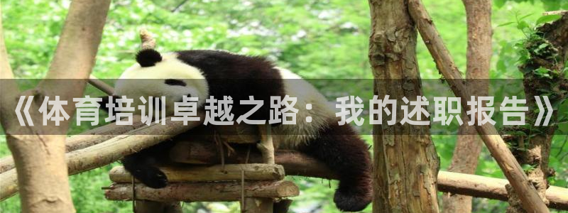 极悦娱乐会被骗吗知乎：《体育培训卓越之路：我的述职报