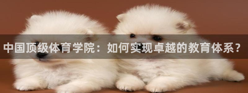 极悦官网首页登录入口：中国顶级体育学院：如何实现卓越