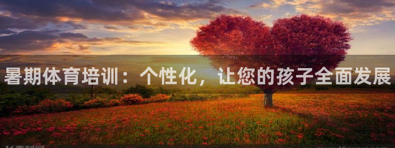 极悦平台集7O777：暑期体育培训：个性化，让您的孩