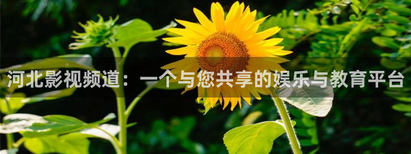 奇奇影院：河北影视频道：一个与您共享的娱乐与教育平台