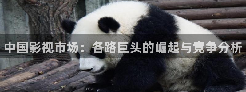 奇奇影院免费观看：中国影视市场：各路巨头的崛起与竞争分析