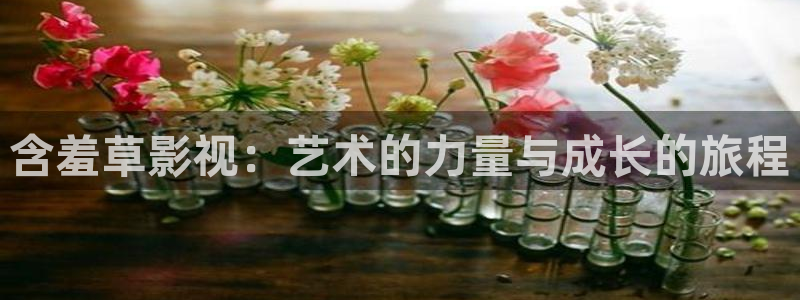 奇奇影院下载：含羞草影视：艺术的力量与成长的旅程