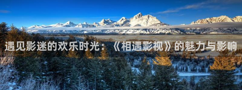 妈妈的朋友奇奇影院：遇见影迷的欢乐时光：《相遇影视》的魅力与影响