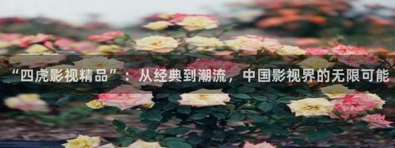奇奇影视理论：“四虎影视精品”：从经典到潮流，中国影视界的无限可能